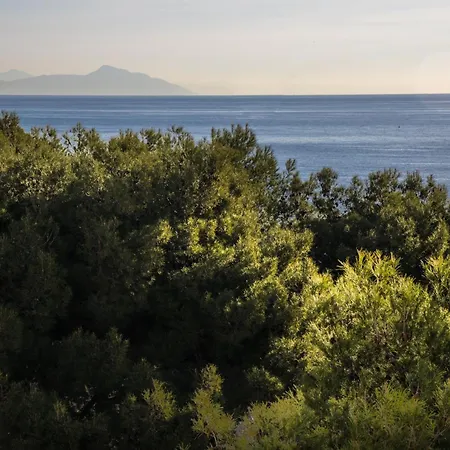 埃纳酒店 3* 阿伦扎诺