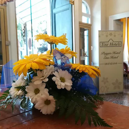 埃纳酒店 3* 阿伦扎诺